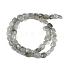 Natural Labradorite Beads Strands G-M435-A11-01-3