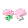 Opaque Resin Cabochons CRES-P023-04A-2