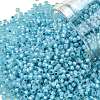 TOHO Round Seed Beads X-SEED-TR11-2117-1