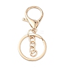Alloy Keychain Clasps FIND-C084-10KCG-1