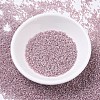 MIYUKI Delica Beads SEED-X0054-DB0256-2