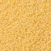 MIYUKI Round Rocailles Beads SEED-G008-RR0202-3