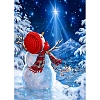 Christmas Theme DIY Diamond Painting Kit PW-WGA386C-06-1