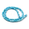 Natural Freshwater Shell Beads Strands SHEL-F008-04D-2