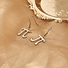 Pi Symbol 304 Stainless Steel Dangle Earring NQ2013-1-2