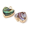 Natural Paua Shell Heart Charms with Brass Edge SHEL-P017-19G-2