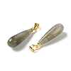 Natural Labradorite Teardrop Pendants X-G-Q005-03G-07-2