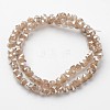 Electroplate Glass Bead Strands EGLA-J138-A-PL02-2