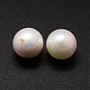 Shell Pearl Beads BSHE-L031-01-14mm-2