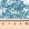 MIYUKI Delica Beads SEED-MY11-DB2513-3