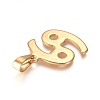 304 Stainless Steel Pendants STAS-L210-06H-G-01-2