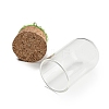 Natural Quartz Crystal Nuggets Display Decoration with Glass Dome Cloche Cover DJEW-B009-03B-3