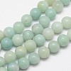 Round Natural Amazonite Bead Strands G-I183-02-12mm-1