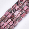 Natural Rhodonite Beads Strands X-G-S345-8x11-017-1