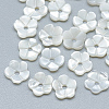 Natural White Shell Beads SSHEL-S260-001-1