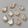Brass Pave Natural White Shell Connector Charms LS-KK-CJC0023-06C-G-1