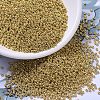 MIYUKI Round Rocailles Beads SEED-G007-RR4202-1