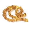 Natural Amber Beads Strands G-L095-D01-02-3