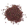 Electroplated Glass Beads GLAA-Q120-02A-01-2