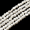 Electroplated Shell Pearl Beads Strands BSHE-B008-06A-1