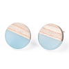 Transparent Resin & Wood Stud Earrings EJEW-N017-003A-D01-3