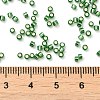 Glass Seed Beads X-SEED-S042-04B-26-4