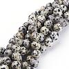 Natural Dalmatian Jasper Beads Strands GSR10mmC004-1