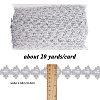 Polyester Lace Ribbons OCOR-WH0082-20B-2