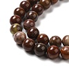 Natural Gemstone Beads Strands G-A215-01B-3
