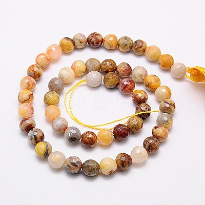 Natural Crazy Lace Agate Beads Strands G-G542-8mm-10-1