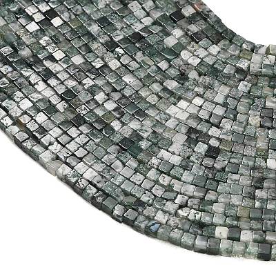 Natural Moss Agate Beads Strands GG-CBA2498-A04-01-1
