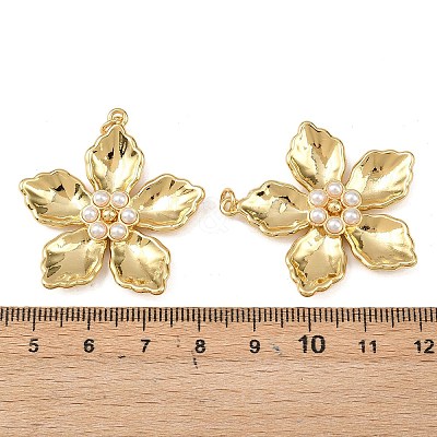 Brass Pendants KK-L255-23G-01-1