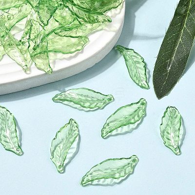 Transparent Acrylic Pendants DBLA221-9-1