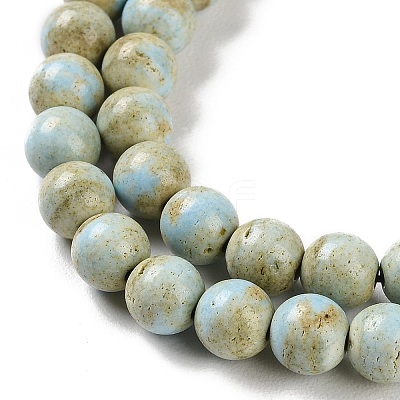 Natural Rainbow Alashan Agate Beads Strands G-NH0022-A01-01-1