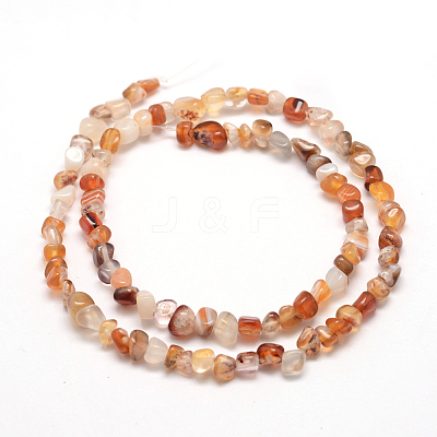 Dyed Natural Carnelian Beads Strands G-F465-22-1