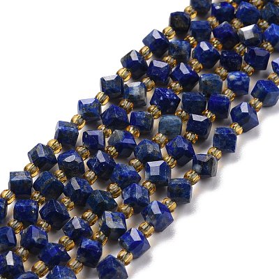 Natural Lapis Lazuli Beads Strands G-P463-25-1