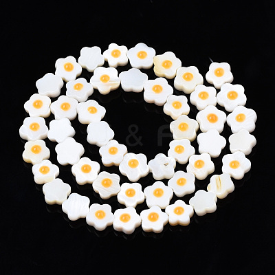 Natural Freshwater Shell Beads Strands SHEL-N003-31B-01-1