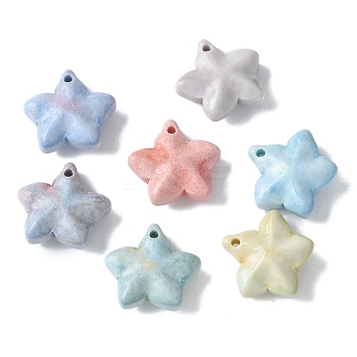 Natural Rainbow Alashan Agate Charms G-G194-02-1