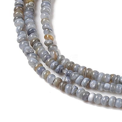 Natural Freshwater Shell Beads Strands SHEL-P017-01A-13-1