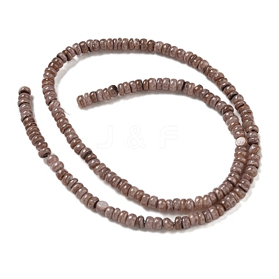 Dyed Natural Freshwater Shell Beads Strands BSHE-G039-07I-1