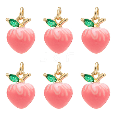 6Pcs Brass Micro Pave Cubic Zirconia Charms KK-PH0012-73-1