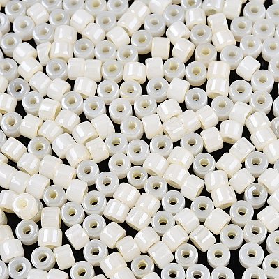 Glass Seed Beads SEED-T008-01B-1