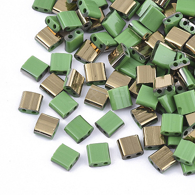 FGB 2-Hole Glass Seed Beads SEED-S031-L-047-G-1