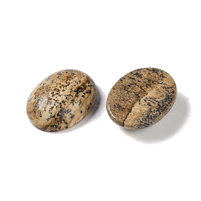 Natural Picture Jasper Cabochons G-B080-01A-11-1