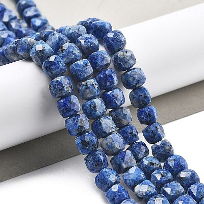 Dyed Natural Sesame Jasper Beads Strands G-C179-B02-01-1