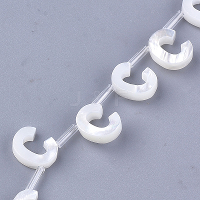 Natural Sea Shell Beads SHEL-T012-60C-1