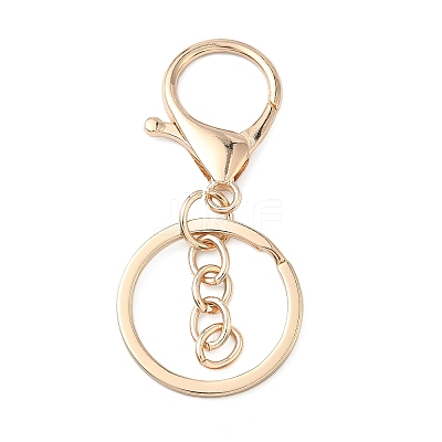 Alloy Keychain Clasps FIND-C084-10KCG-1