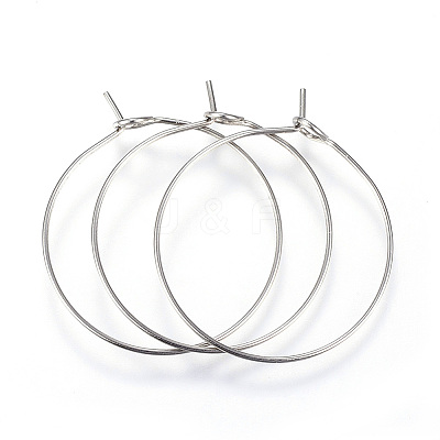 316L Surgical Stainless Steel Hoop Earring Findings LS-STAS-G130-03P-1