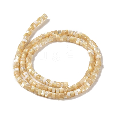 Natural Trochid Shell/Trochus Shell Beads Strands BSHE-H018-02-1