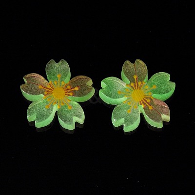 Luminous Resin Cabochons X-RESI-G030-01B-1